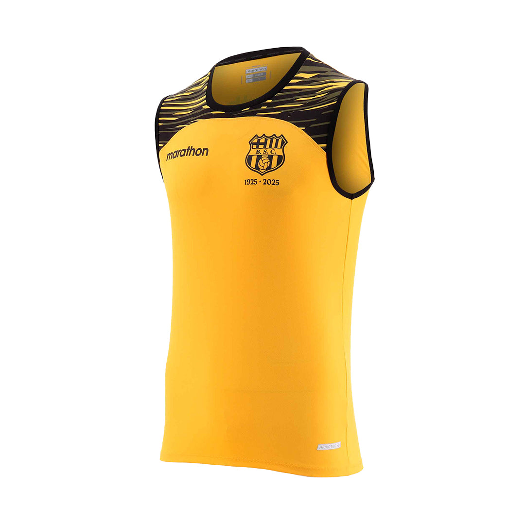 Official barcelona sporting club ecuador 2025 centennial edition men's training 2 jersey