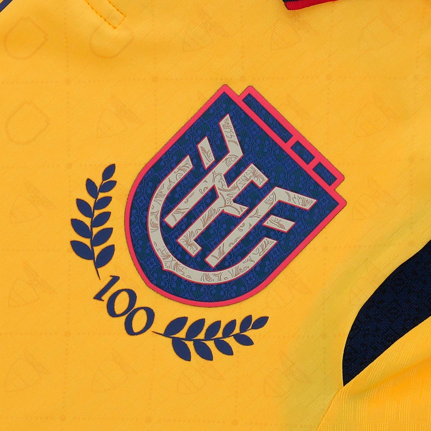 Camiseta Oficial Ecuador FEF 100 Años Visitante – Edición Limitada Centenario para Hombre