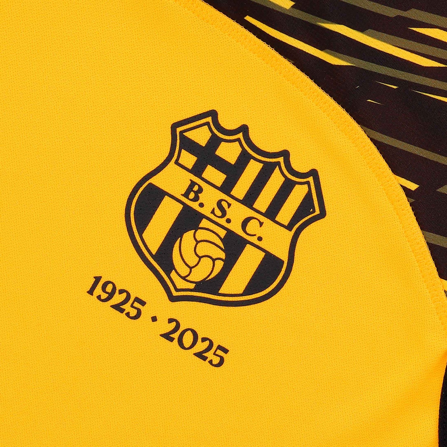 Official barcelona sporting club ecuador 2025 centennial edition men's training 2 jersey