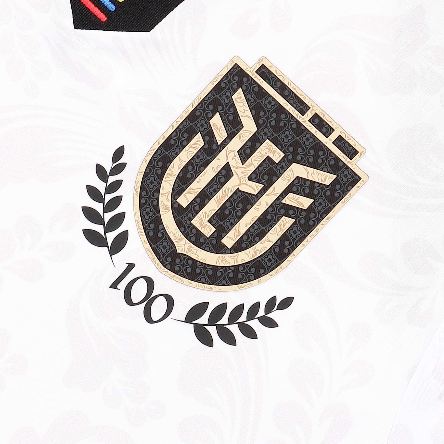 Official Ecuador FEF 100th Year Goalie 3 Jersey Limited Centennial Edition Men's