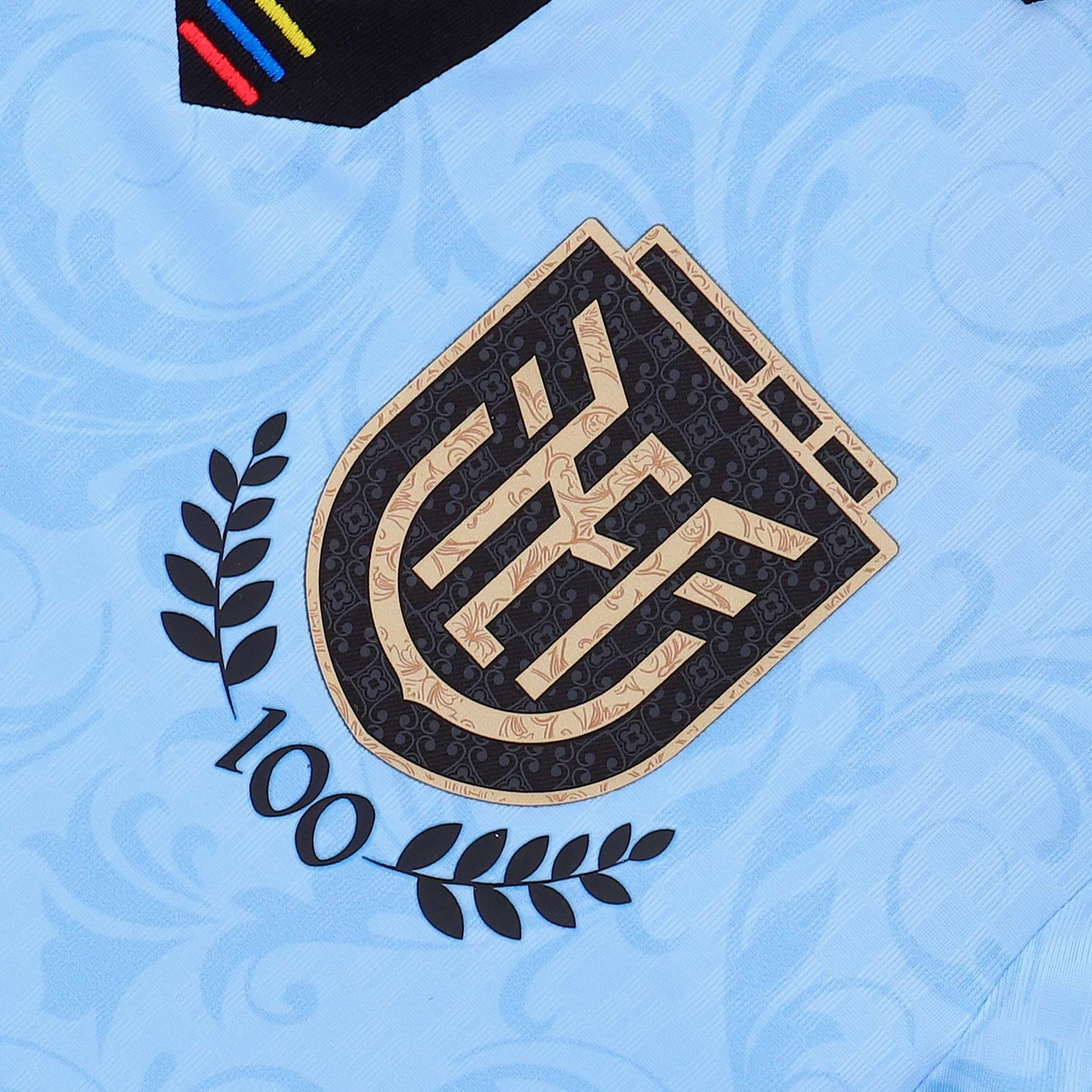 Camiseta oficial de portero 2 de la FEF Ecuador 100 años, edición limitada del centenario, para hombre