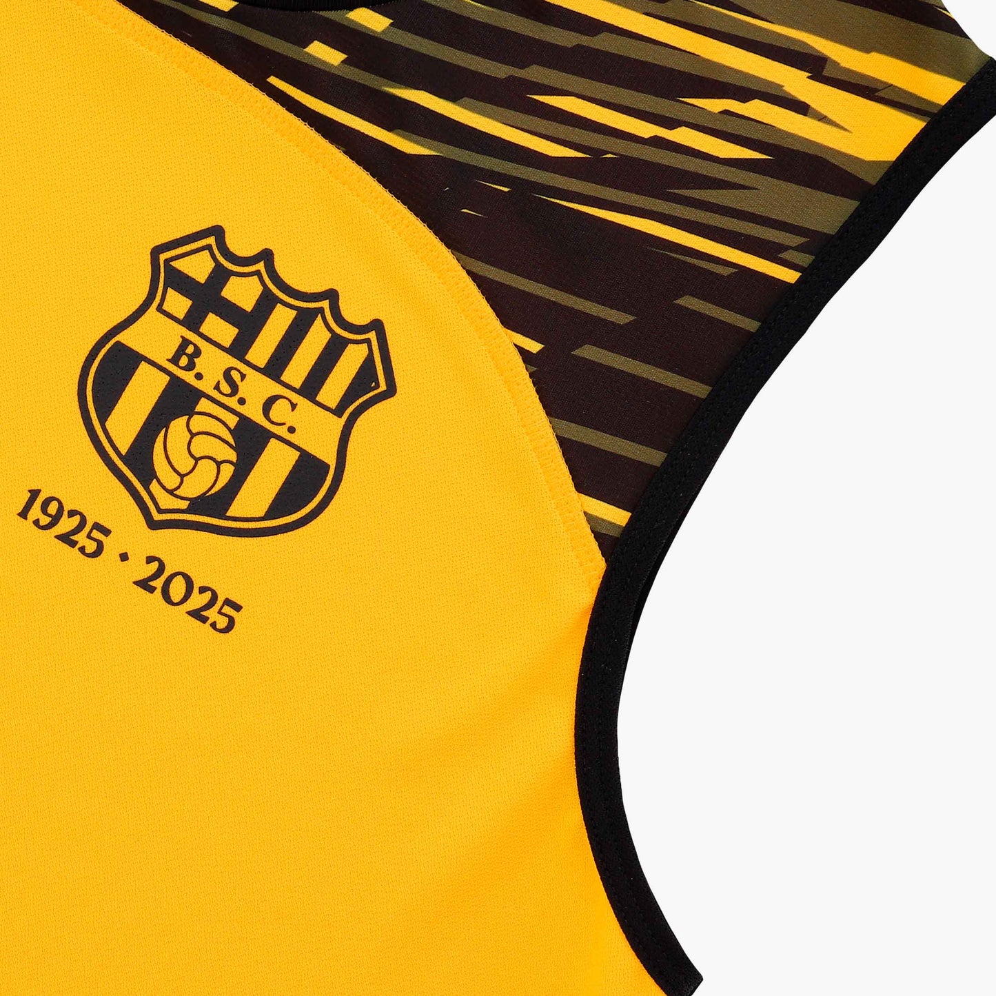 Official barcelona sporting club ecuador 2025 centennial edition men's training 2 jersey