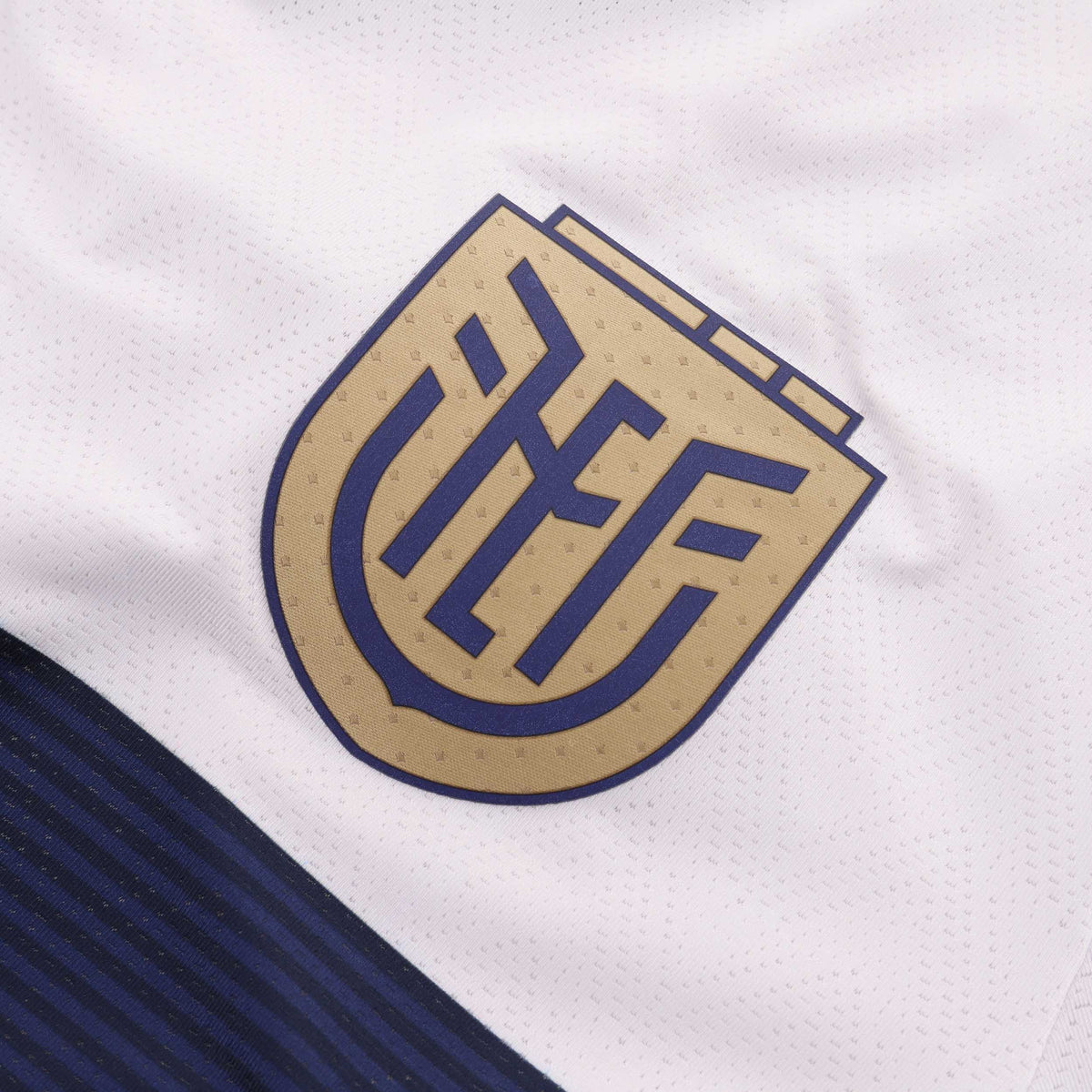 Camiseta Alterna Seleccion de Futbol Ecuador Copa America 2024 Ninos ...